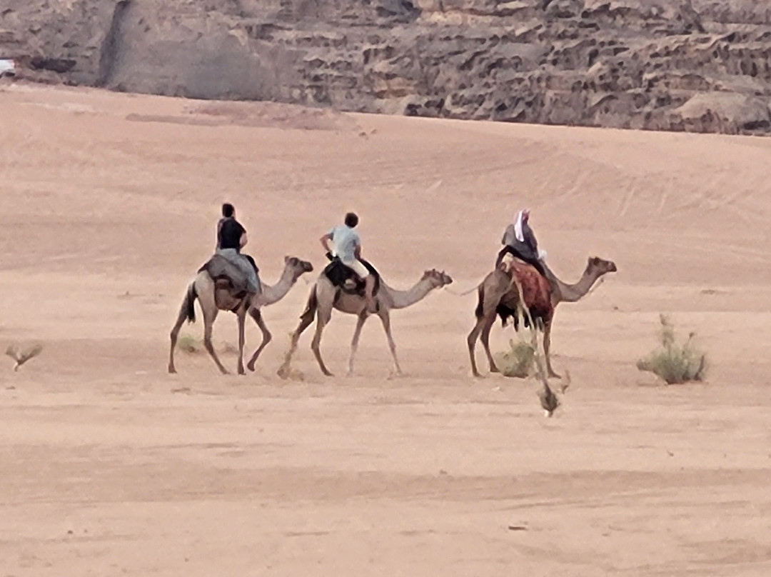 Jordan Experience tours-安曼必去景点