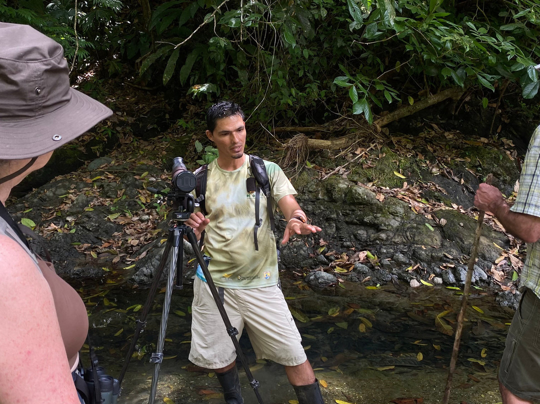 Osa Nature Tours-Dos Brazos必去景点