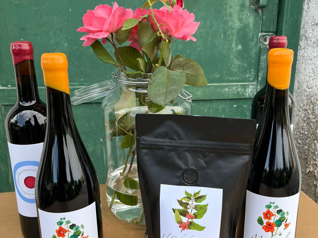 Bodega Finca Marañuela-La Orotava必去景点