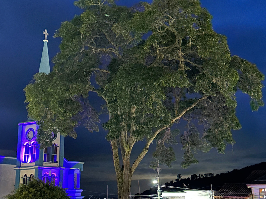Pedaling Coffee-Caicedonia必去景点