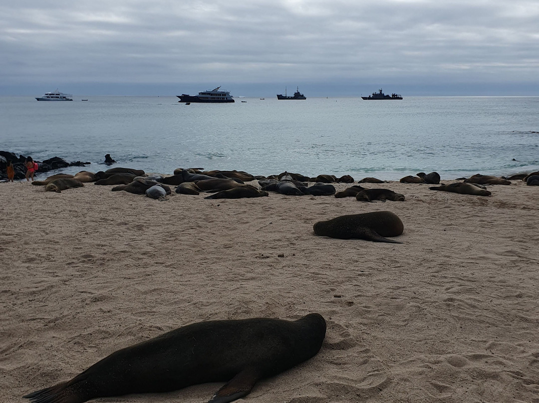 Playa Mann-圣克里斯托瓦尔必去景点