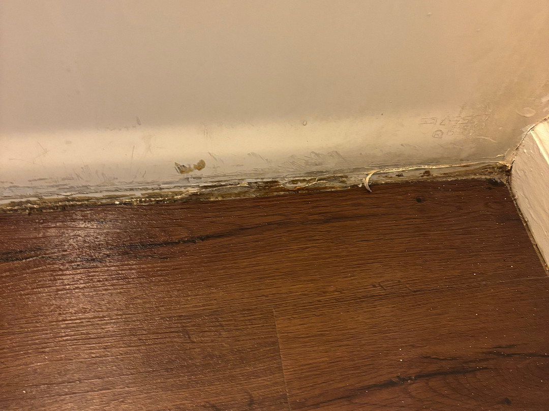 Super 8 by Wyndham Monticello主图