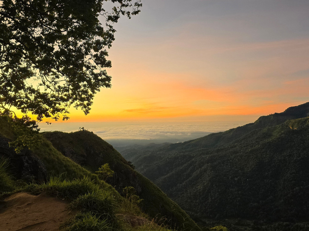 Tour Planners Lanka (Pvt) Ltd.-拉非尼亚山必去景点