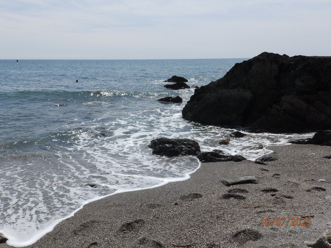Portwrinkle Beach-Sheviock必去景点