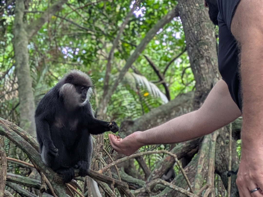 Luba Tours-Aluthgama必去景点