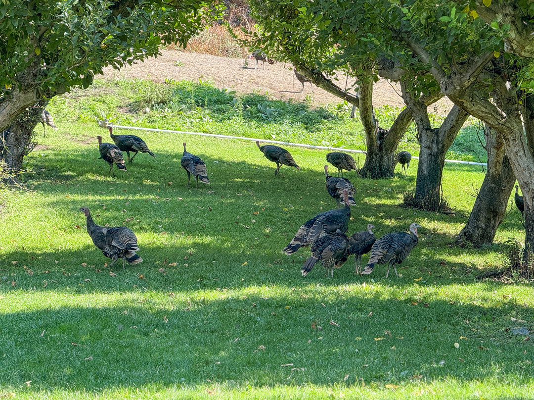 Snake River Adventures-刘易斯顿必去景点