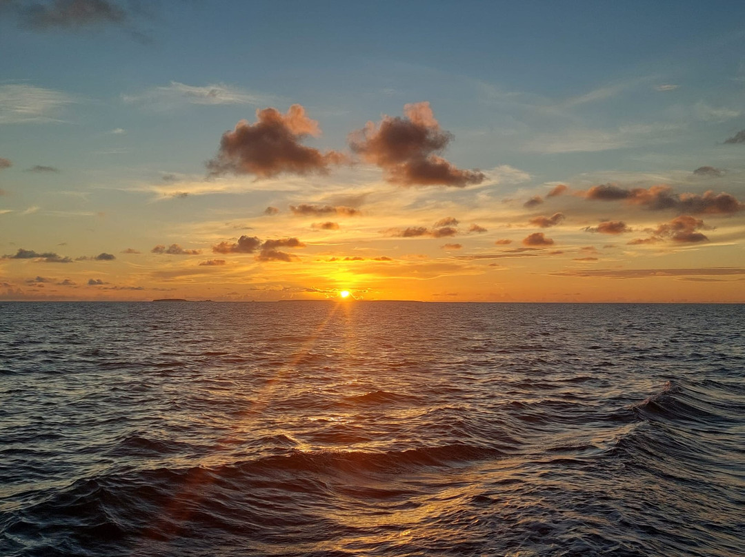 Pacific Master - Master Liveaboards-Chuuk必去景点