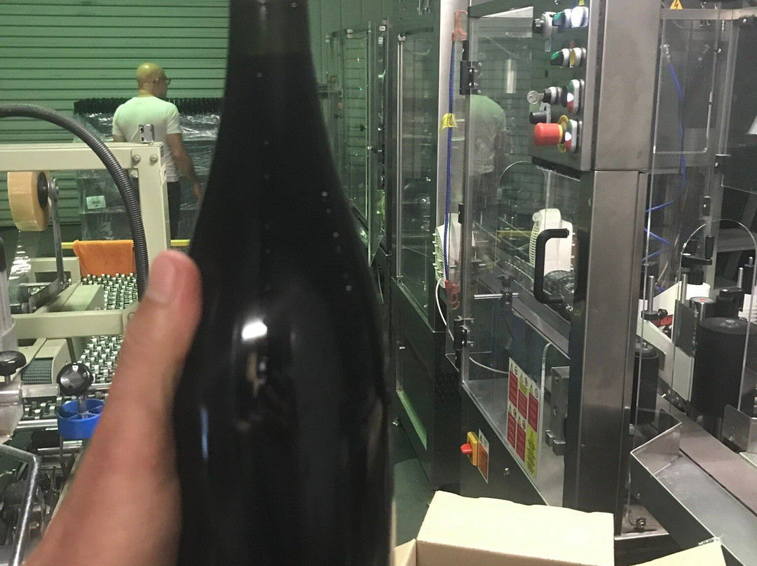 Squishedberry-波兰甸必去景点