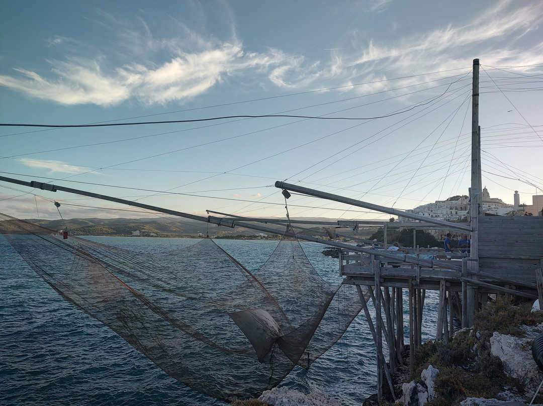 Trabucco Di Punta San Francesco-维耶斯泰必去景点
