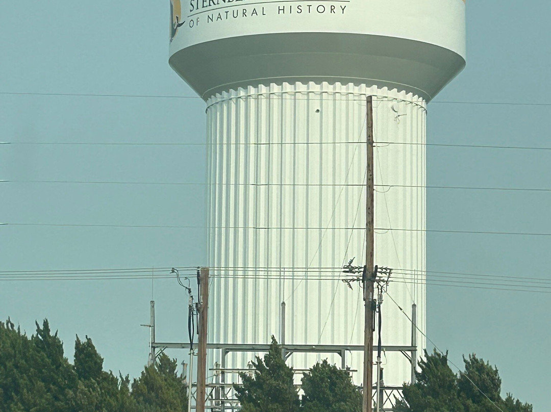 Sternberg Museum of Natural History-Hays必去景点
