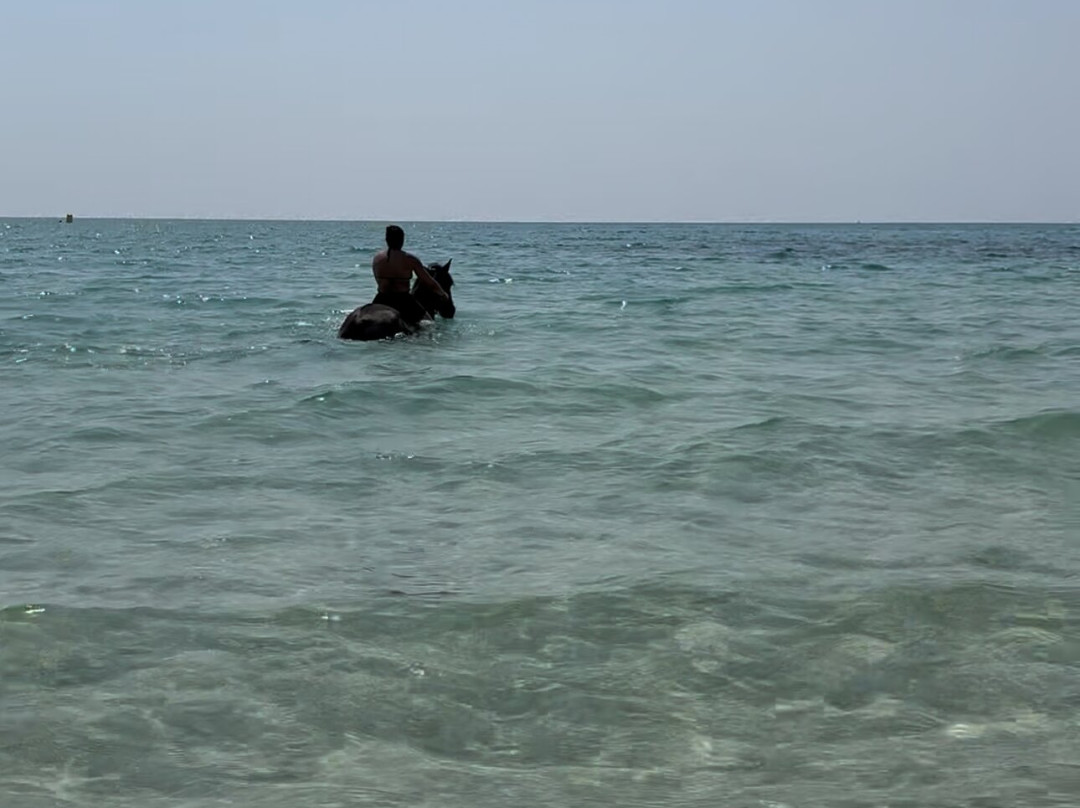 Centre Équestre The Orangers Garden-哈玛麦德必去景点