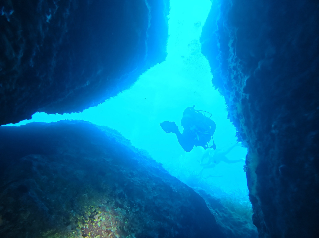 Orca Diving Ustica-Ustica必去景点