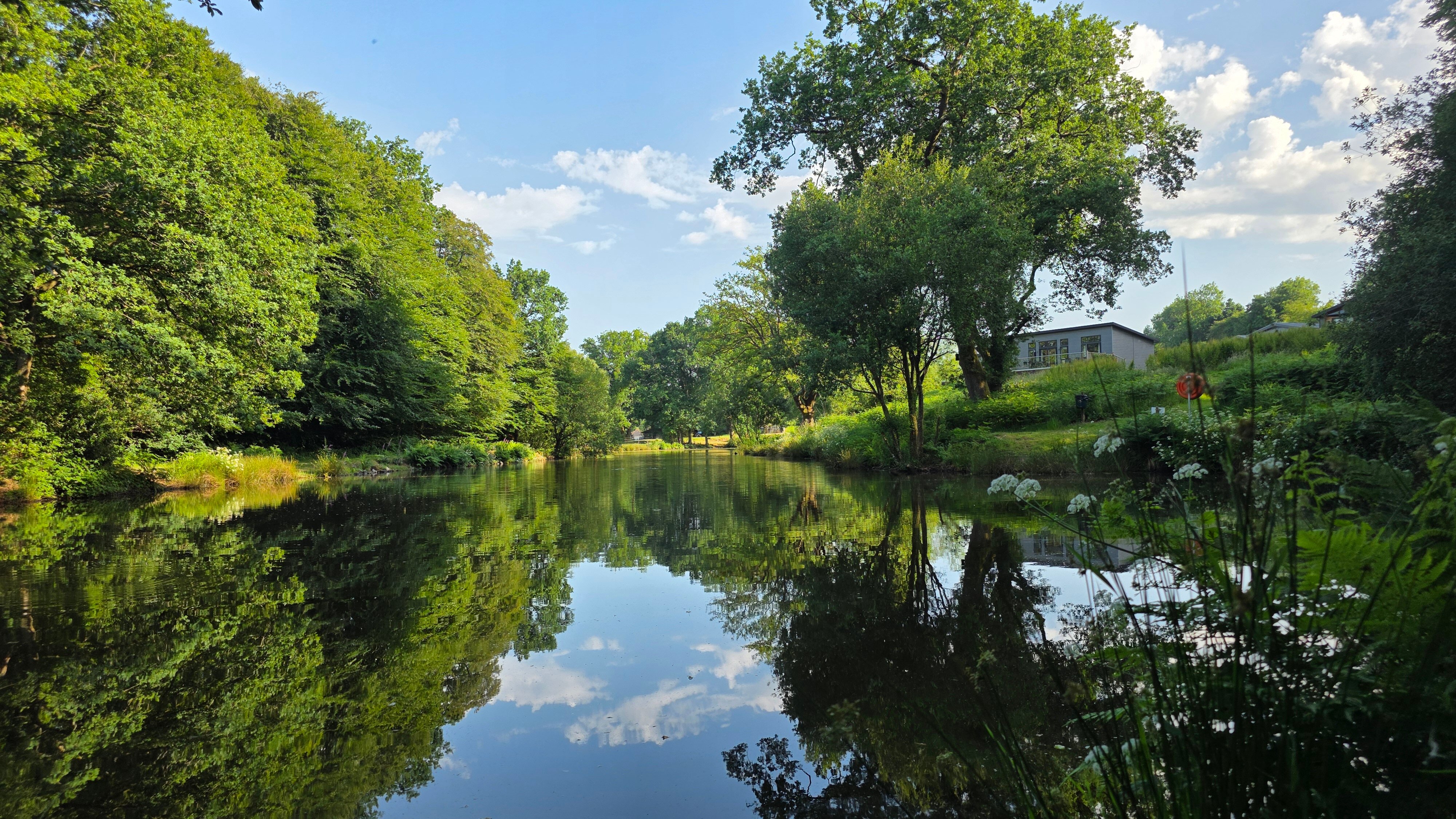 Lakeview Manor-浴室