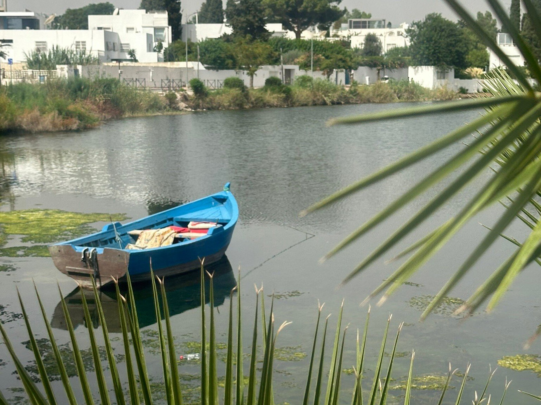 Punic Ports & Museum-迦太基必去景点