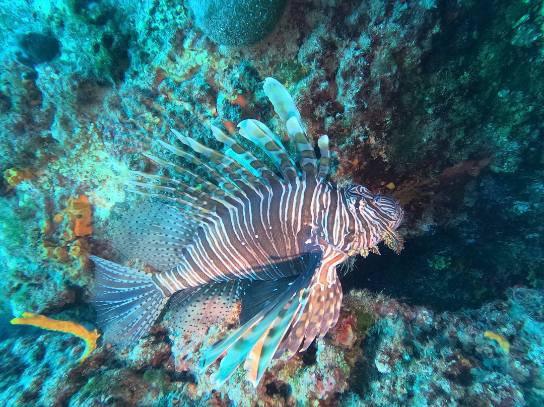 Navys Waterworld-卡马里必去景点