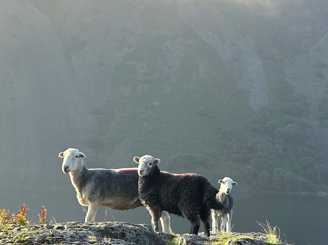 Lake District Bikes-Ulverston必去景点