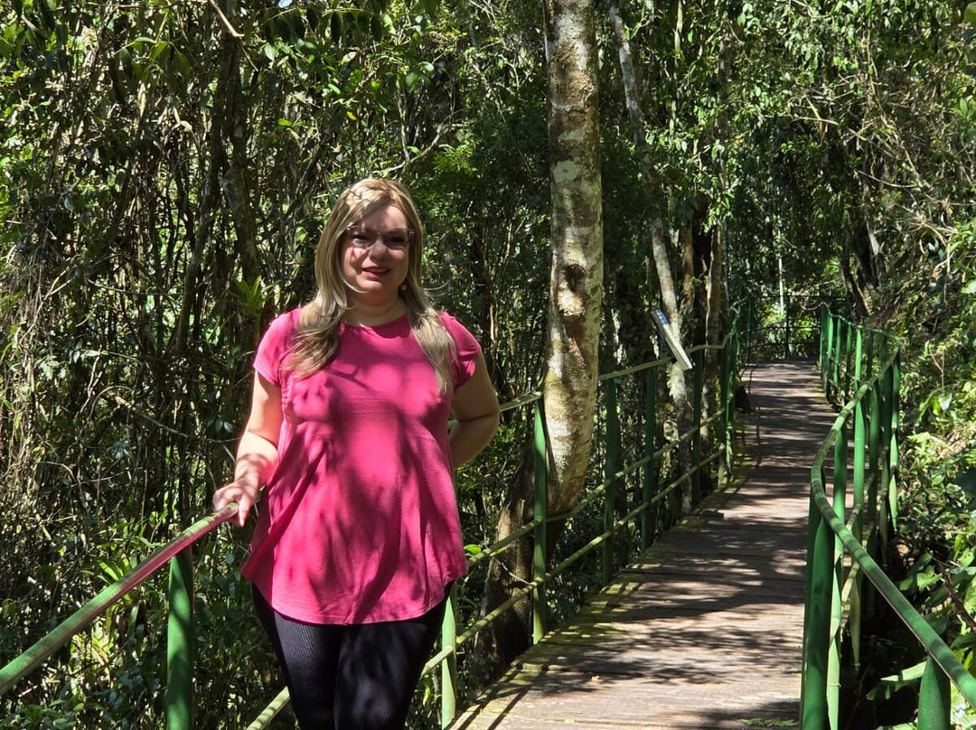 Parque Nacional da Serra dos Órgãos-特雷索波利斯必去景点