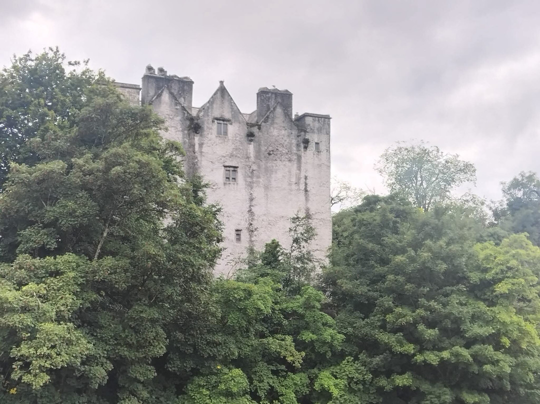 Donegal Castle-多尼戈尔城镇必去景点