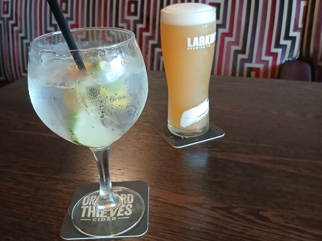 Rochestown Lodge Hotel主图