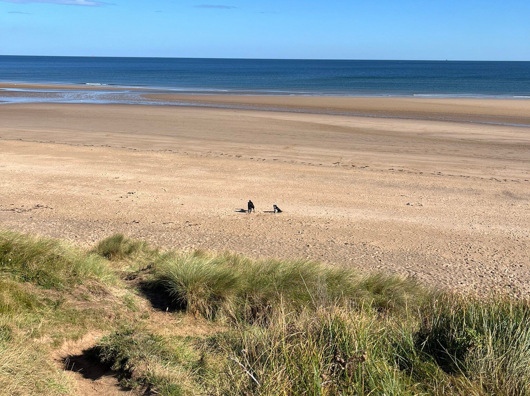 Marske Sands Beach-Marske-by-the-Sea必去景点