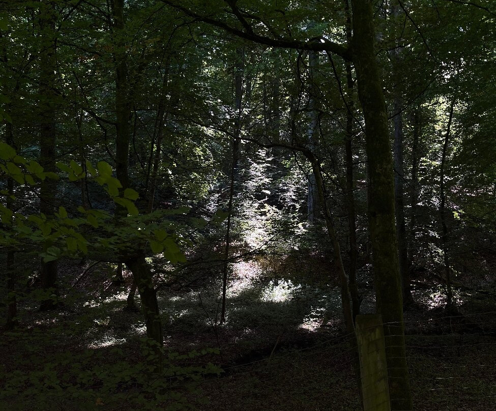 Abbaye du Rouge Cloitre-奥德尔赫姆必去景点