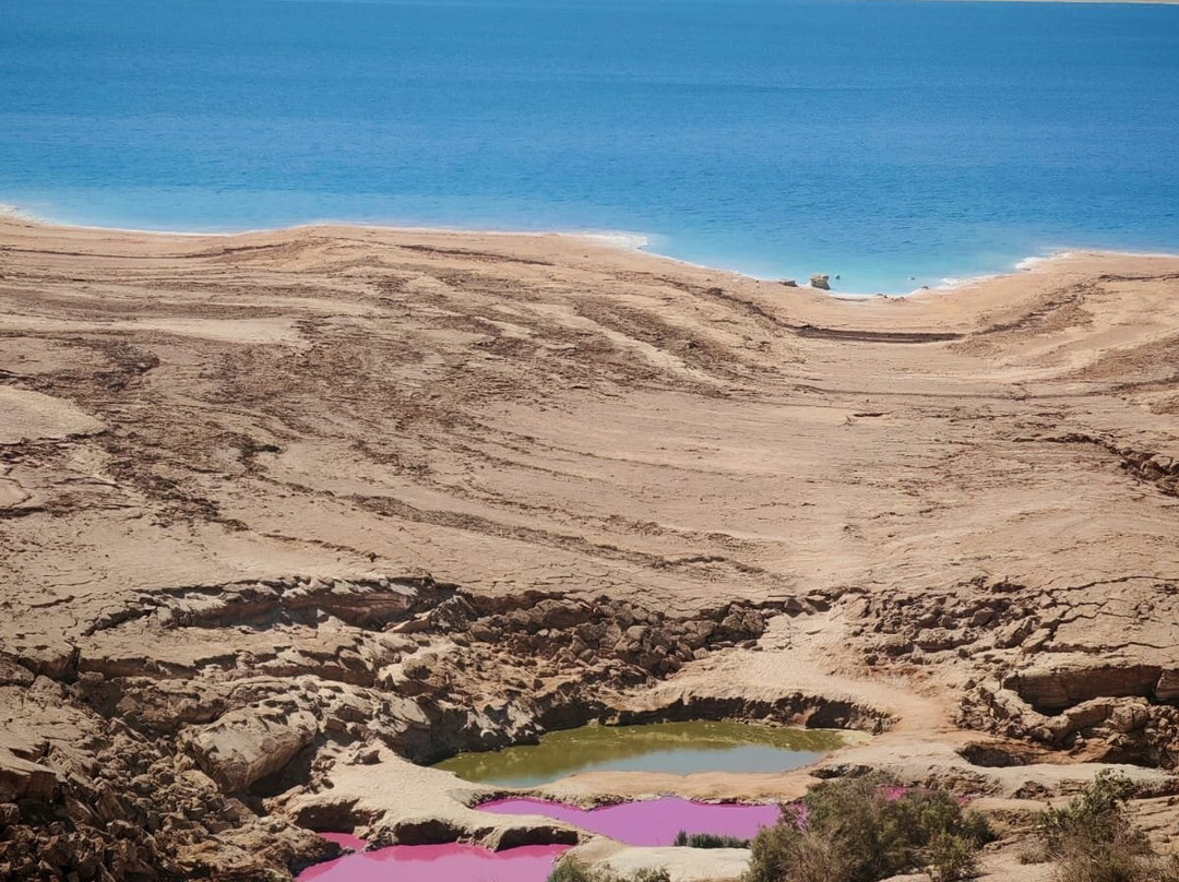 Ammar Best Trips-安曼必去景点