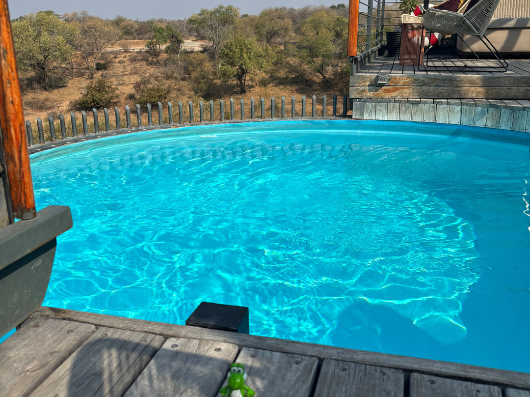 Kruger Shalati - The Train on the Bridge主图