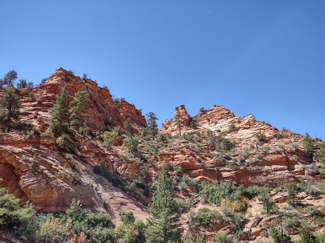 Zion Park Motel主图