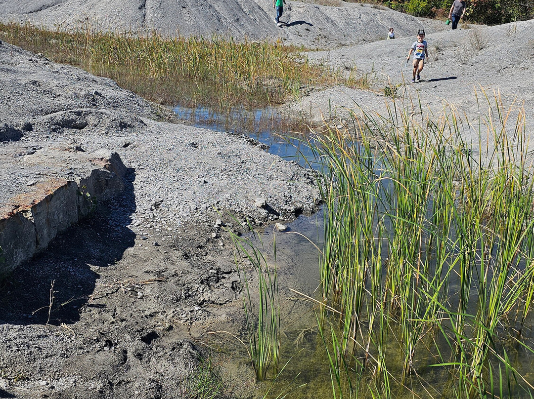 Penn Dixie Fossil Park & Nature Reserve-Blasdell必去景点