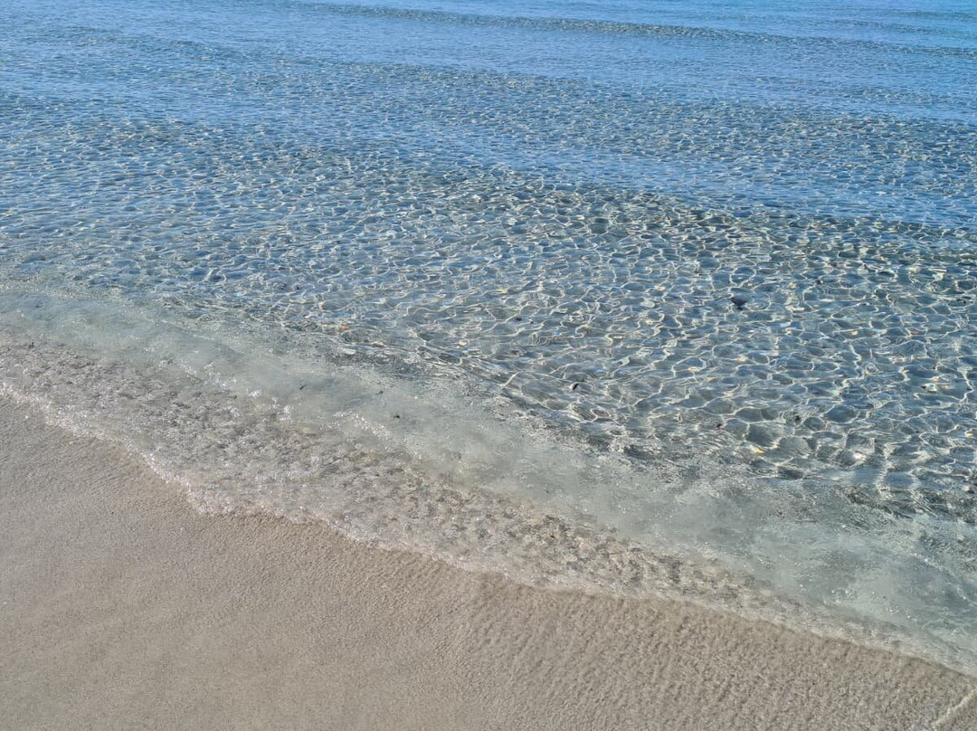 Bravo Porto Pino主图