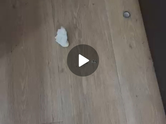 贝斯顿豪华酒店-阿姆斯特市北主图