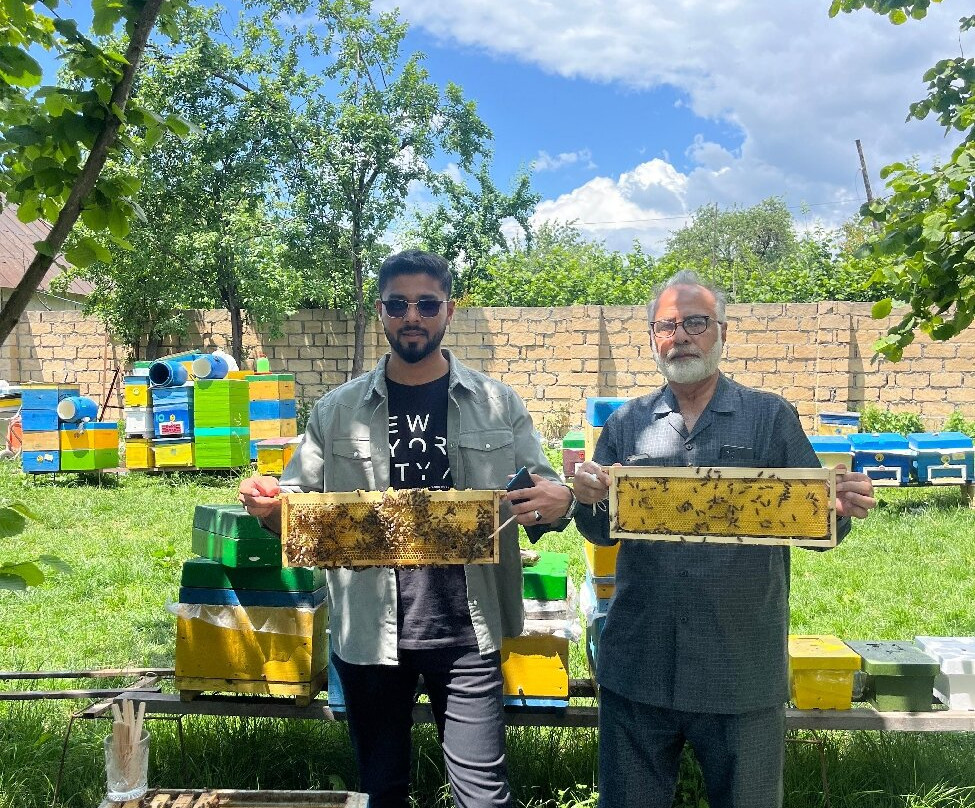 Tofiqoghlu Beekeeping Experience