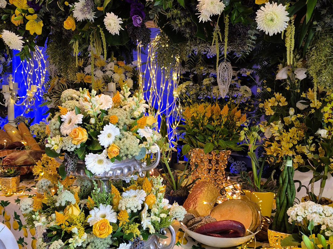 ExpoFlora-Holambra必去景点