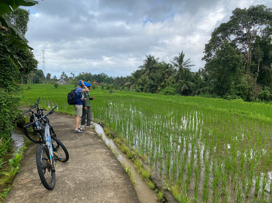 Dewa Bike Tour | Private Tours-乌布必去景点