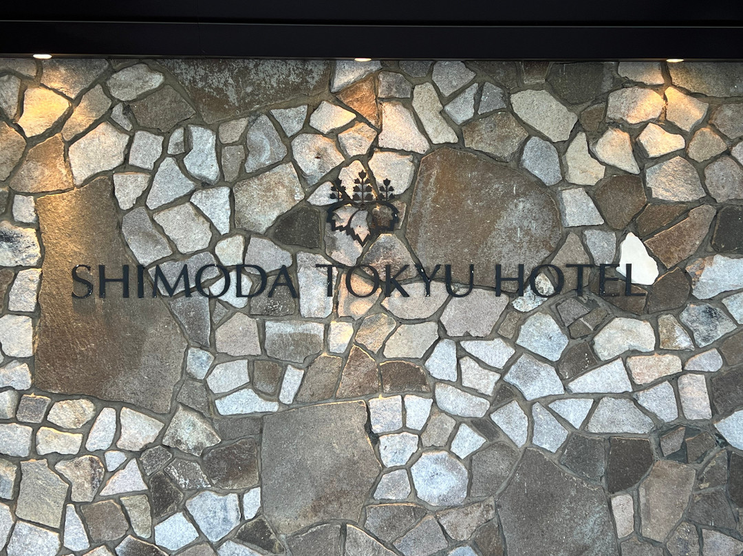 下田东急酒店主图