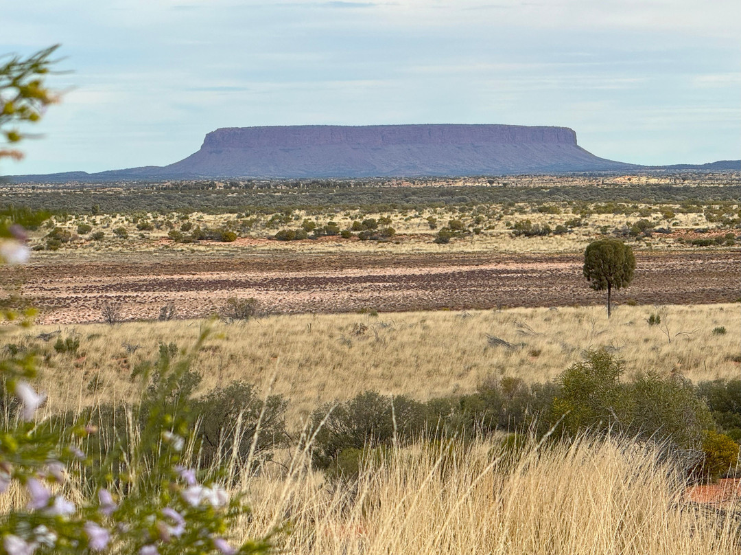 Mount Conner-West MacDonnell National Park必去景点