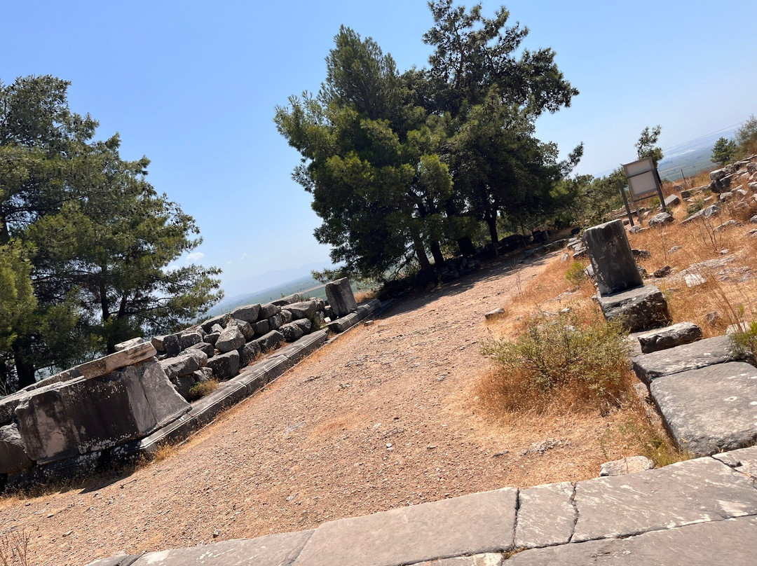 Priene Athena Tapınağı-Soke必去景点