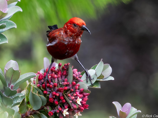 Unique Maui Tours-毛伊岛必去景点