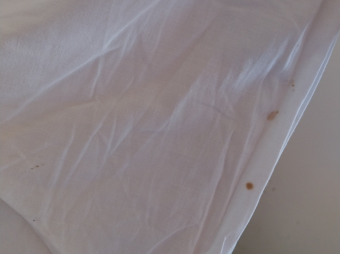 Bed And Breakfast Portuense主图