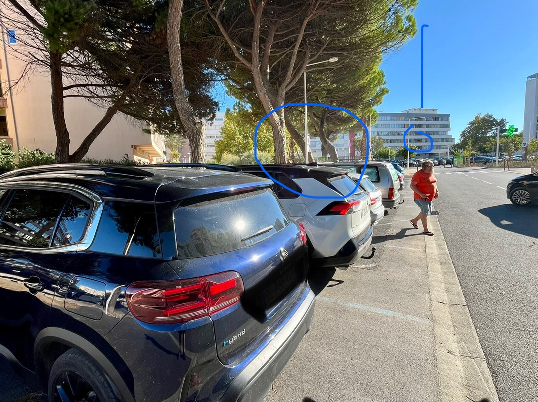 Office de Tourisme de Mauguio Carnon-Carnon必去景点