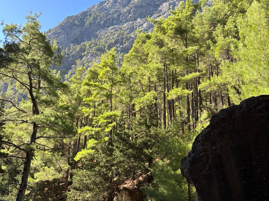 Blessed Greece-干尼亚必去景点