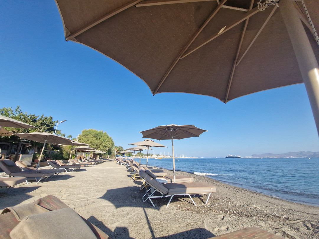 Paradiso Beach-Psalidi必去景点