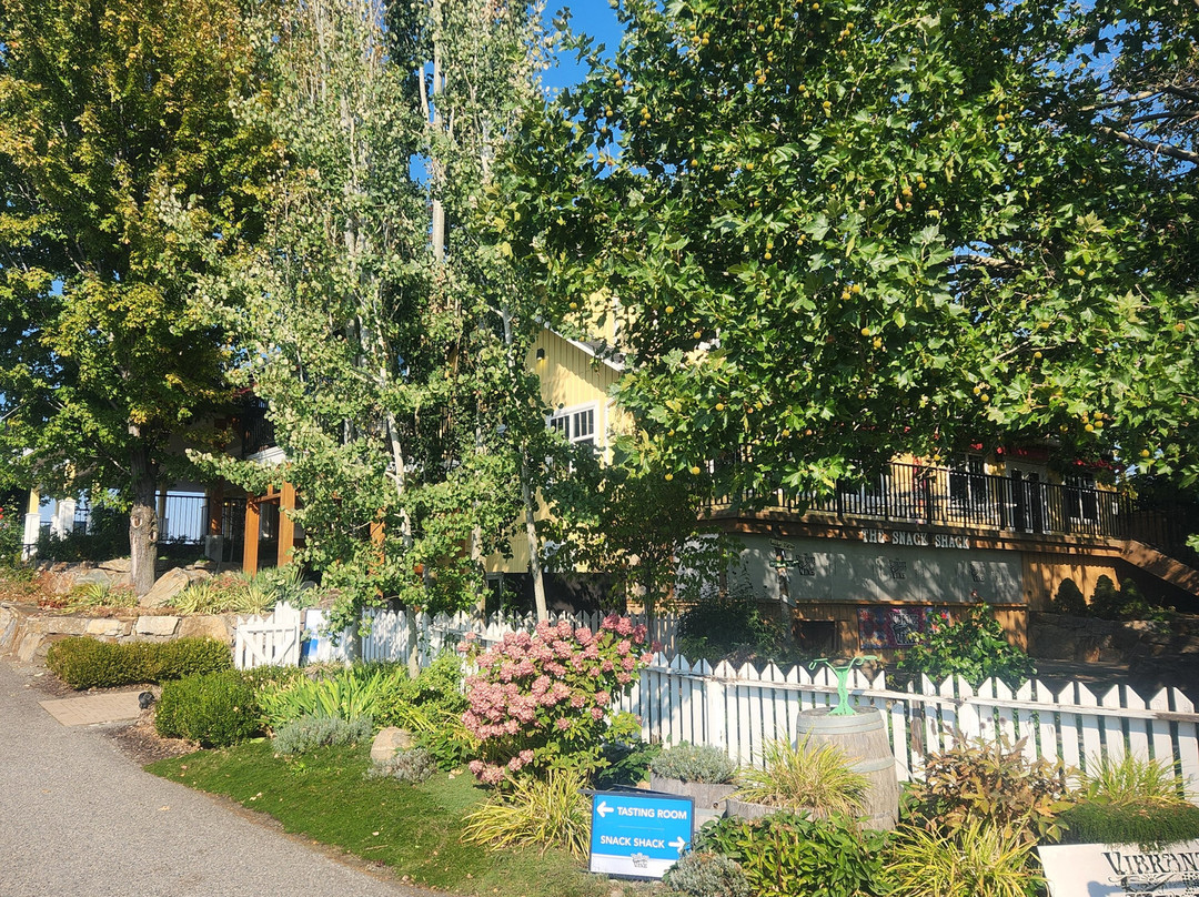 The Vibrant Vine-基洛纳必去景点