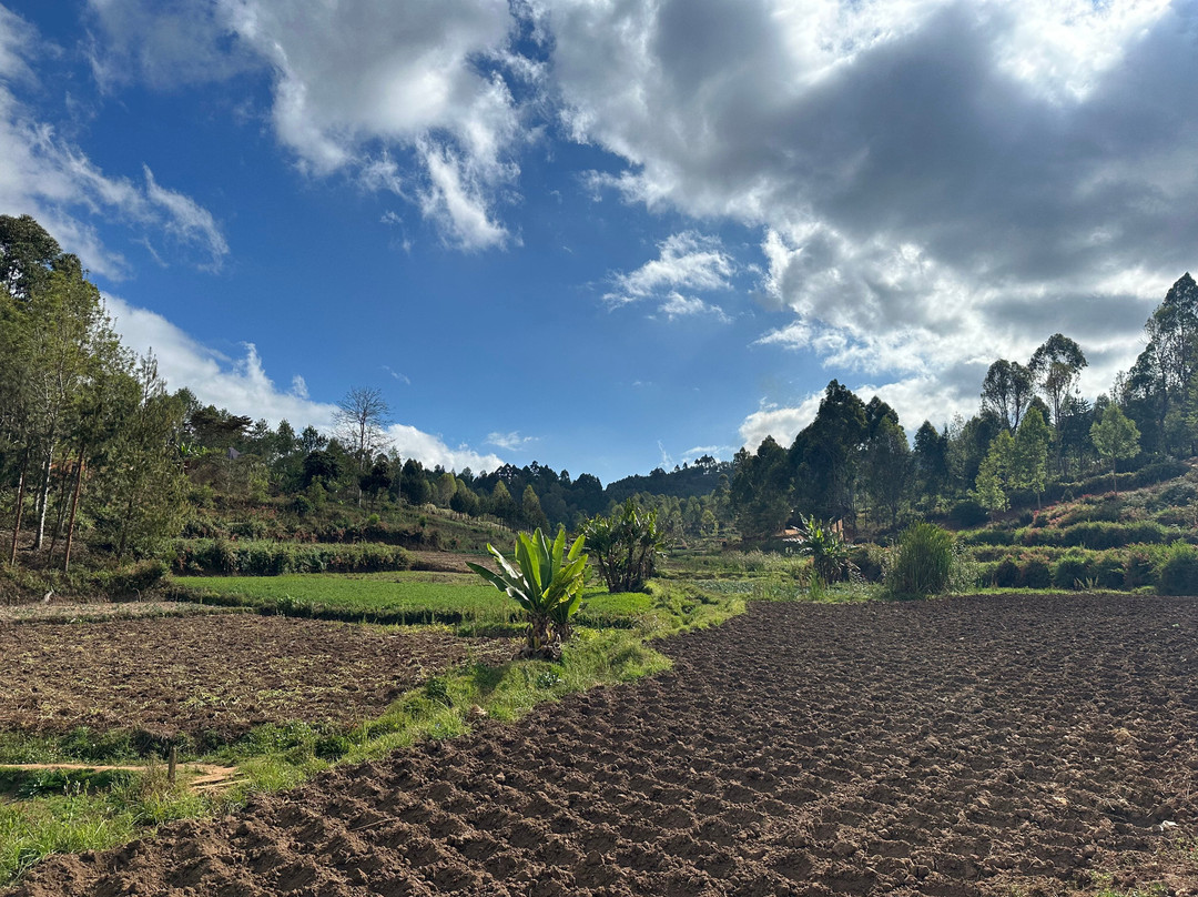 Tanzania Secret Within-坦噶必去景点