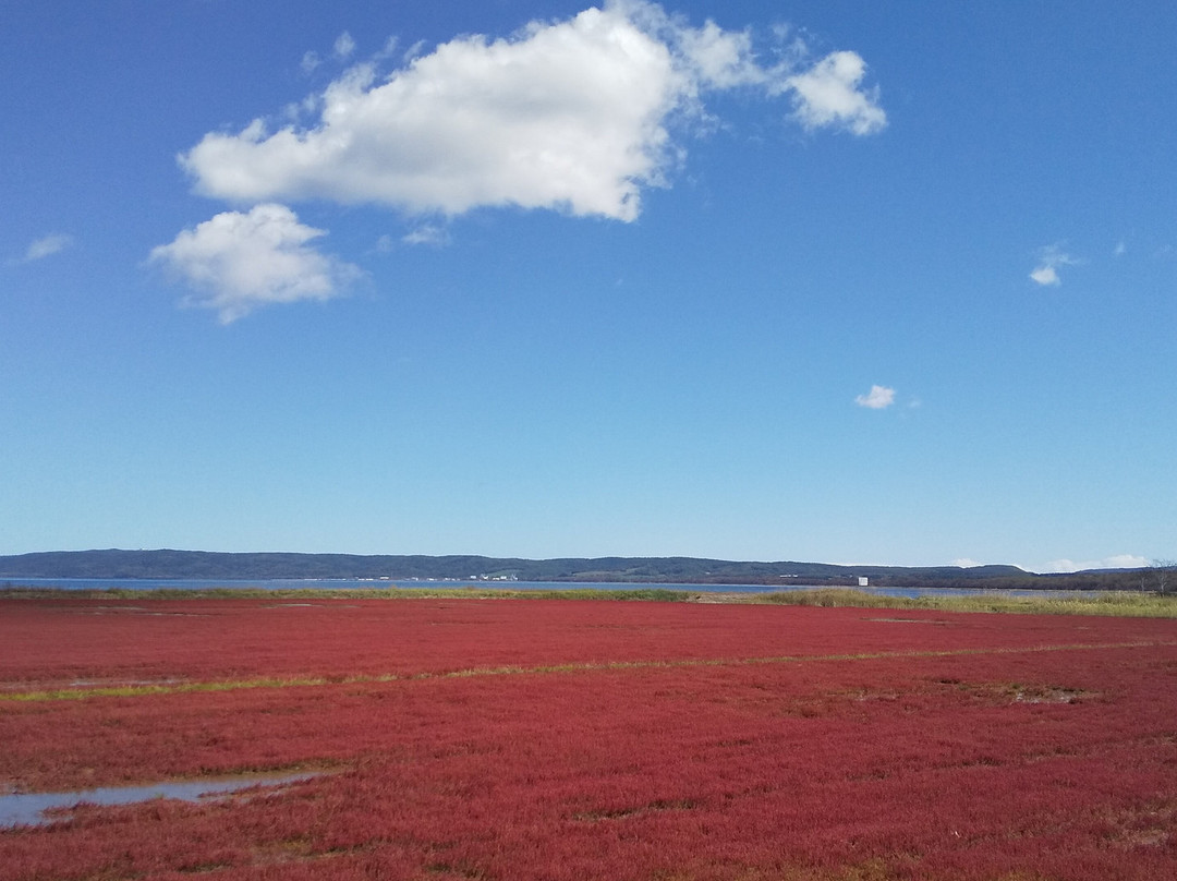 Ubaranai Sango-so Colony-网走市必去景点