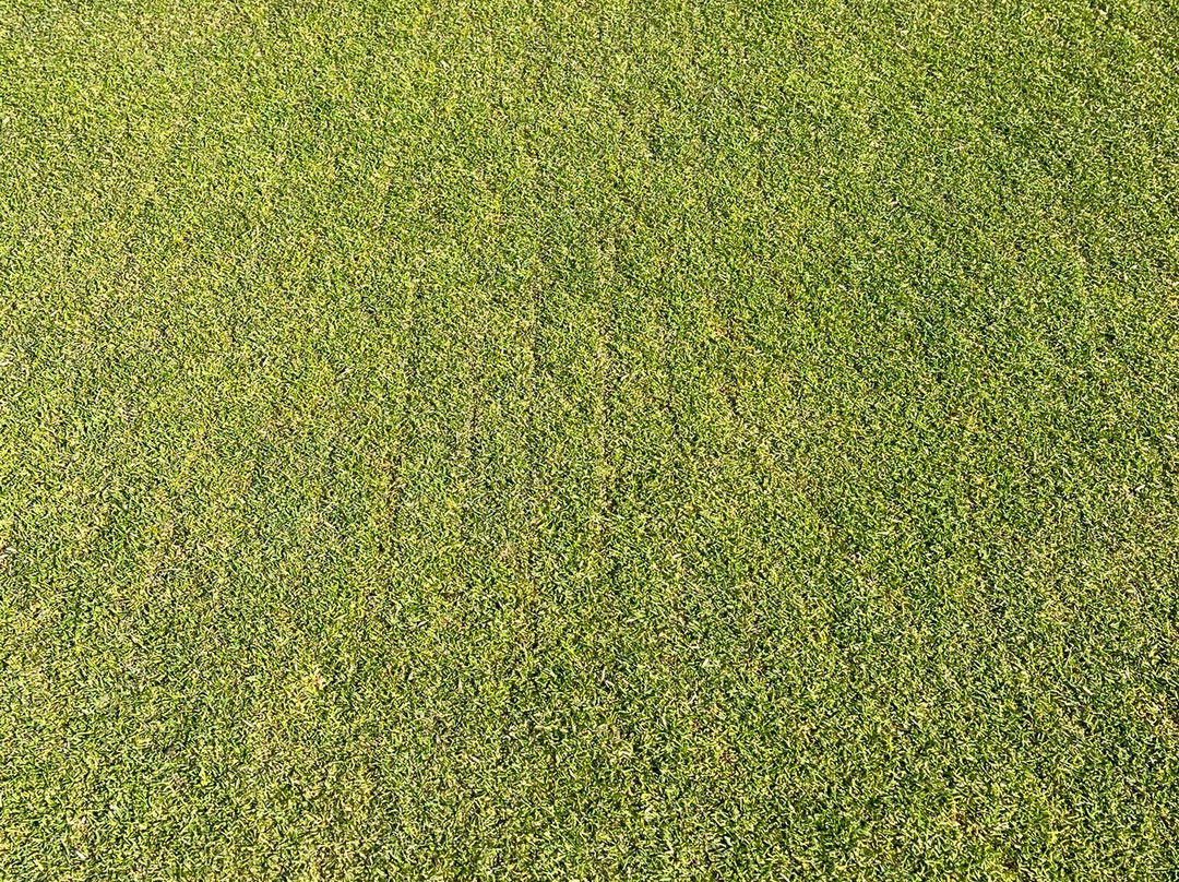 GOLF Fleesensee-Goehren-Lebbin必去景点