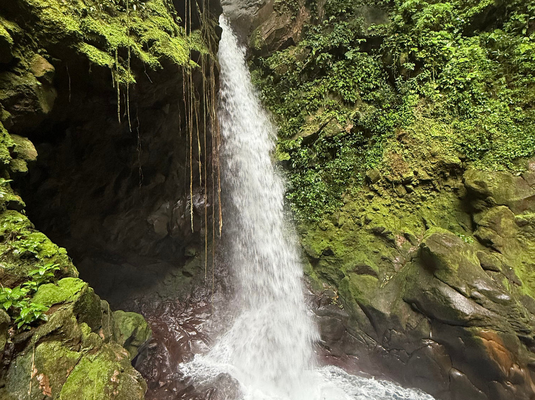 Oropendola Waterfall-利比里亚必去景点