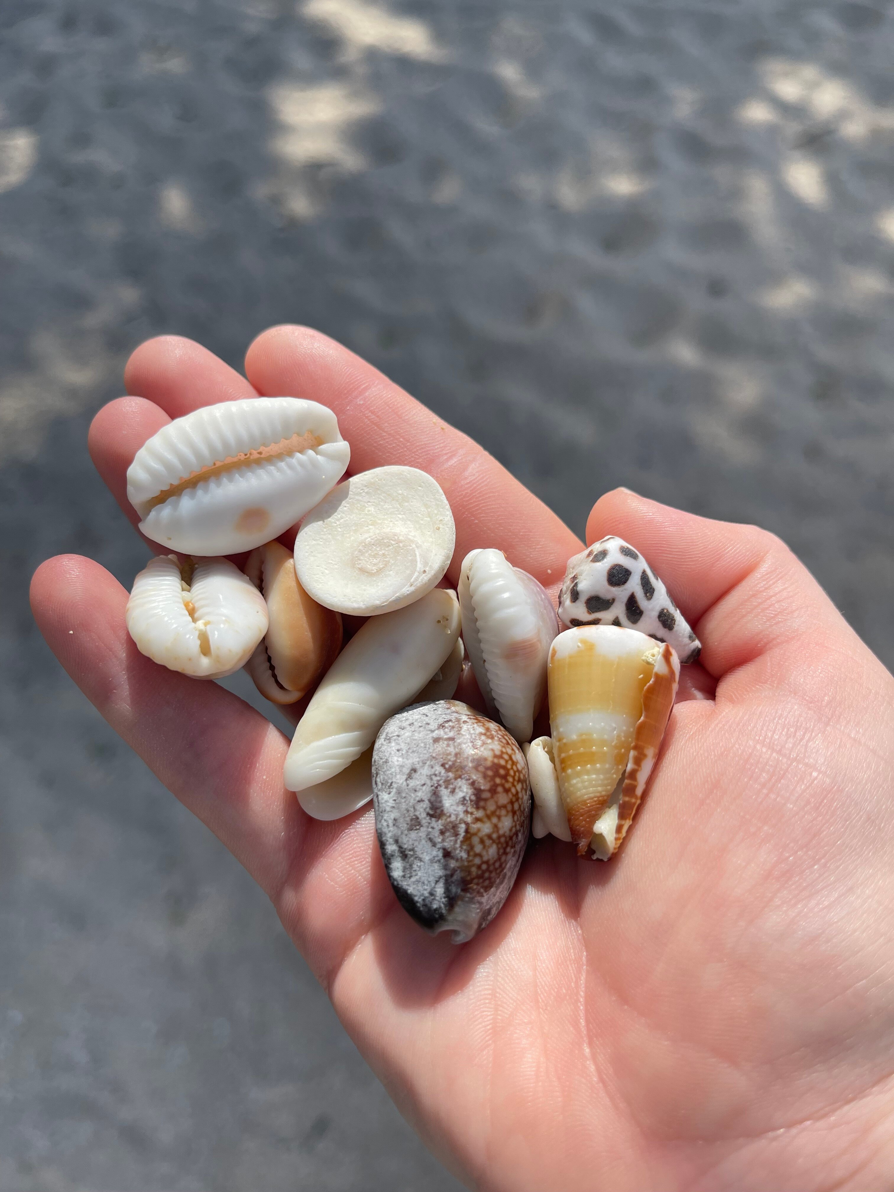 Lucky's Beach Houses-官方