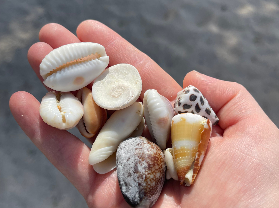 Lucky's Beach Houses主图