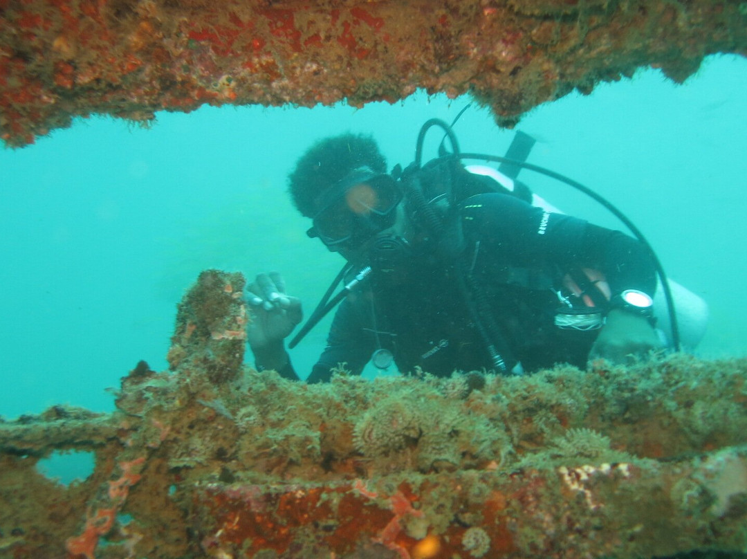 Blue Sea Divers-维多利亚必去景点